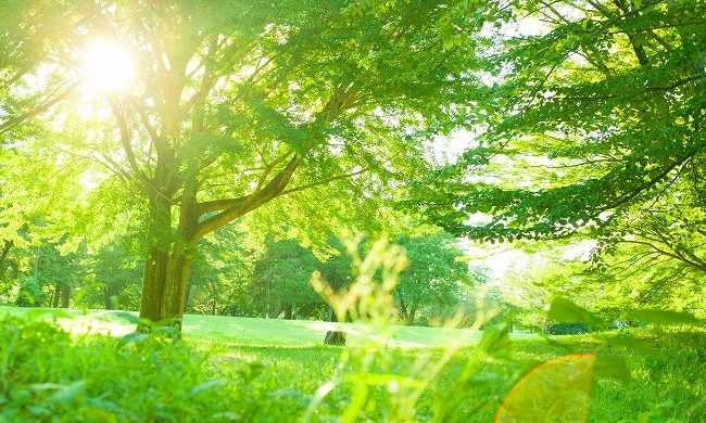 酸素カプセルって何?期待できる効果は?