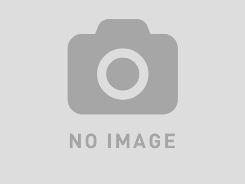 ショックマスターの治療事例　その2